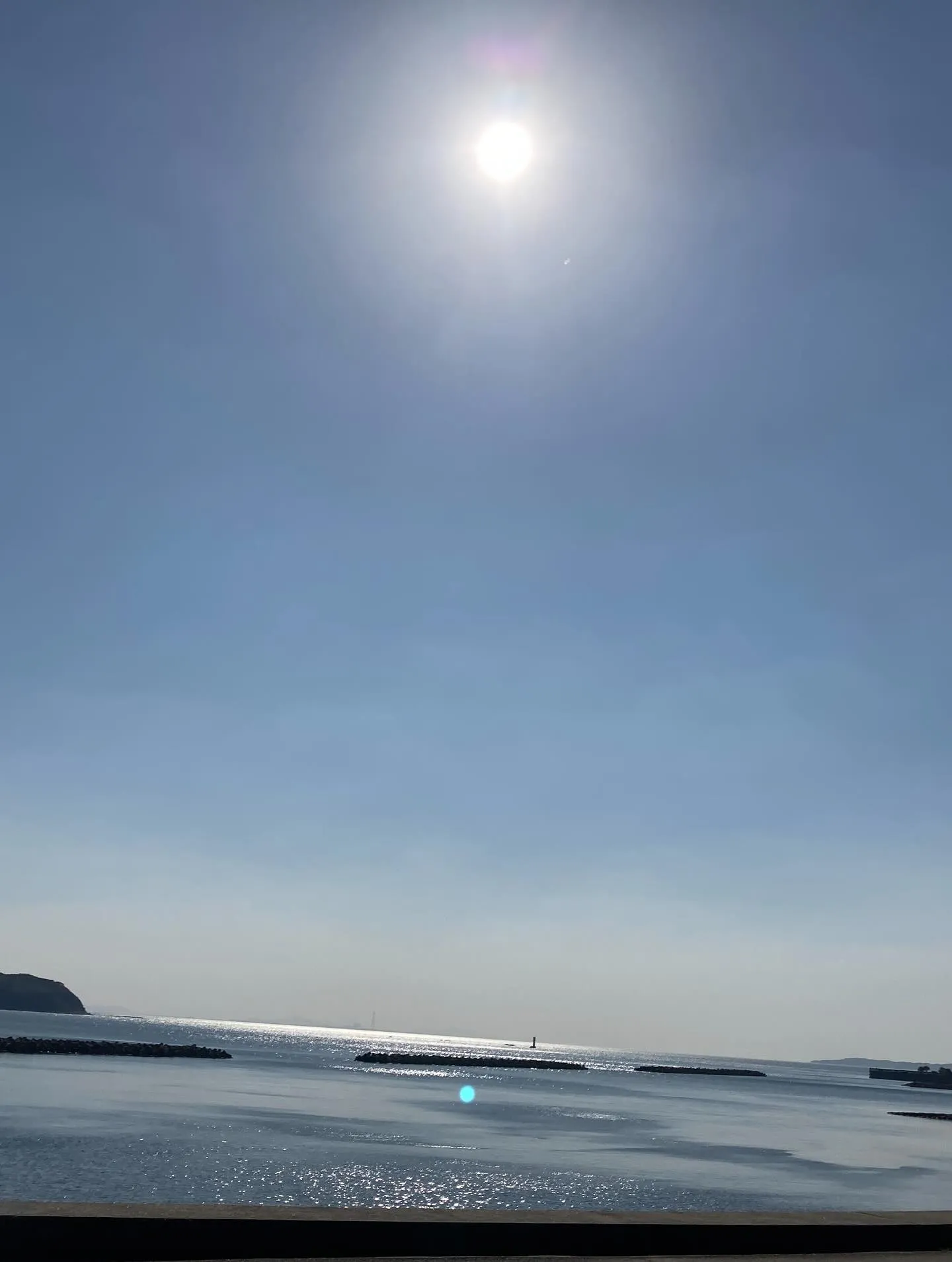 まだまだ昼は暑いくらいの日差し🫠